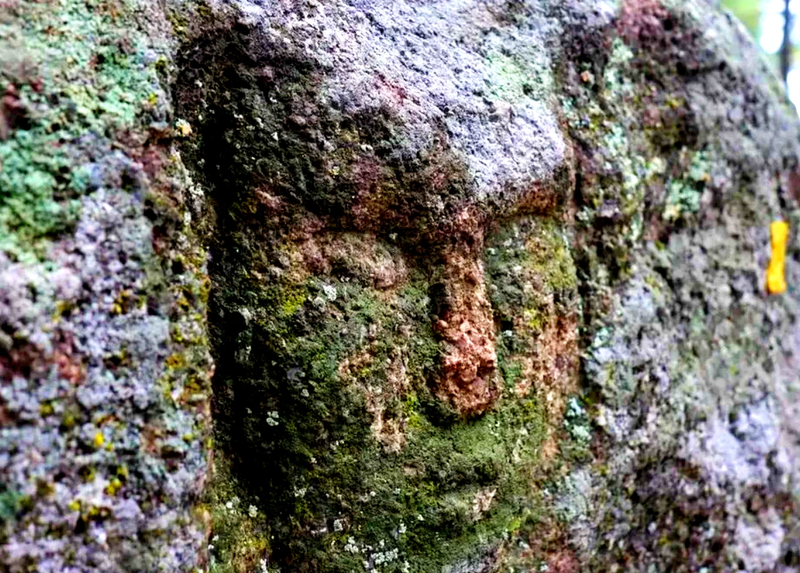 Phát hiện chấn động khuôn mặt người khắc đá thời Đồ Đồng 