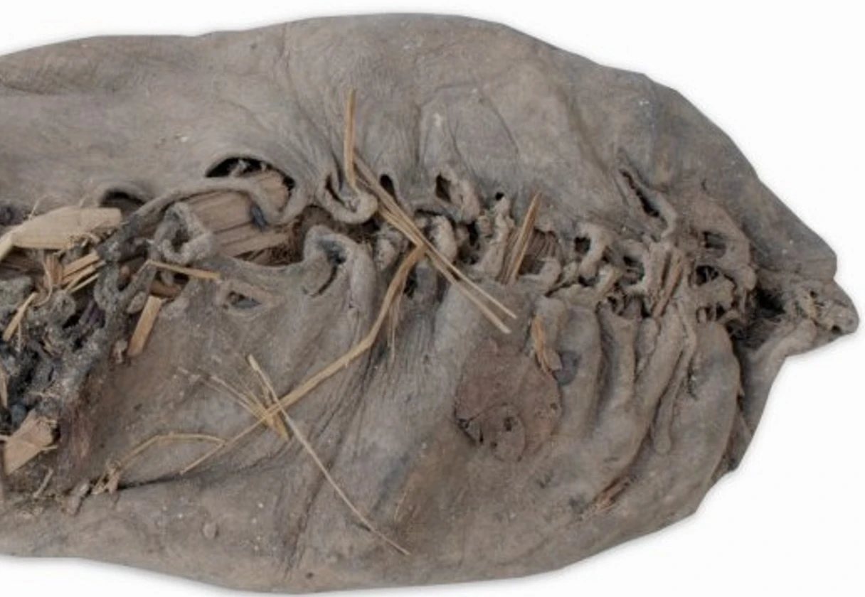 Chiếc giày da cổ nhất thế giới tiết lộ bí mật bất ngờ