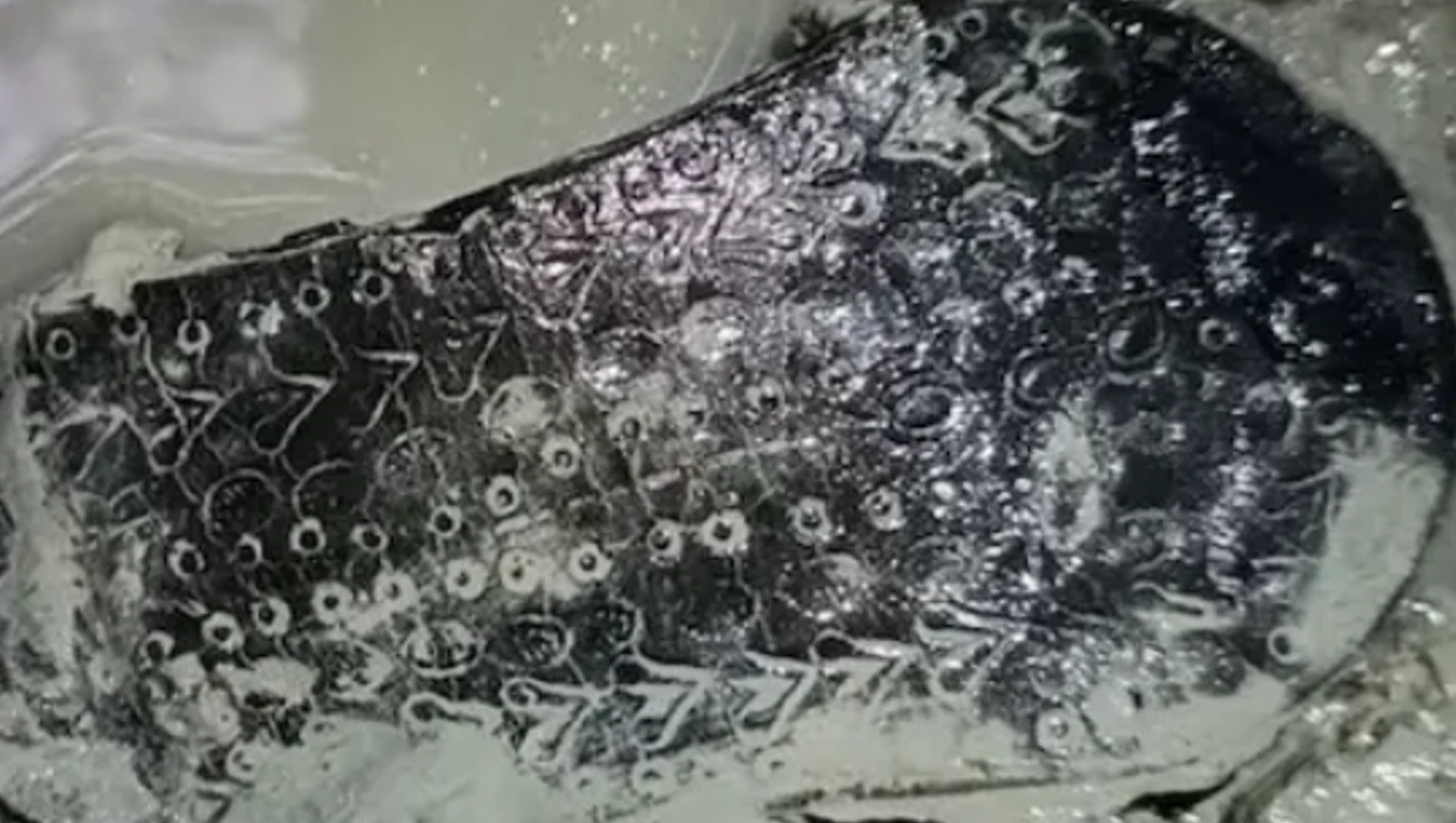 Bí mật đằng sau chiếc dép La Mã 2.000 năm tuổi 