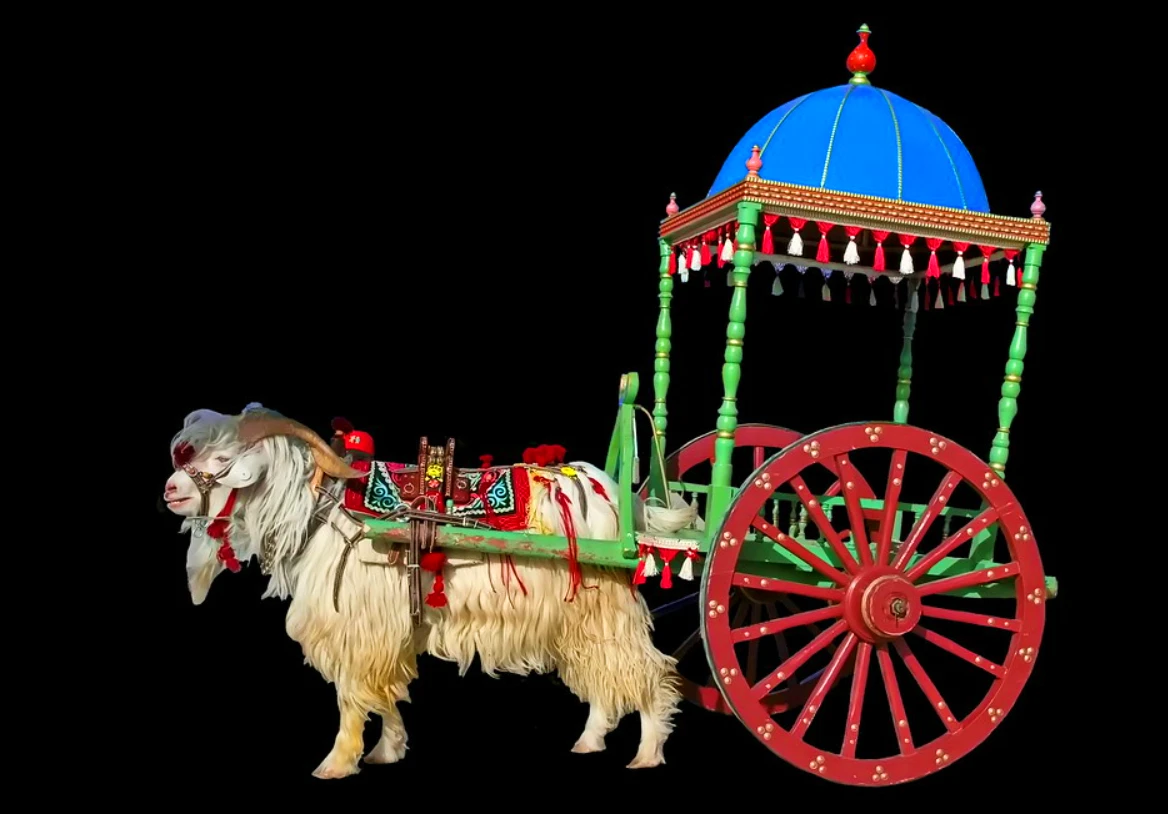 Tàn tích cỗ xe 6 con cừu cổ đại phát lộ tại Trung Quốc 