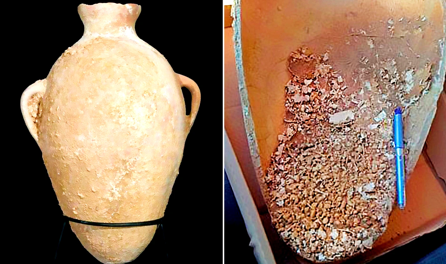 Mở mộ cổ nghìn năm, sốc nặng thấy bình đựng cóc không đầu