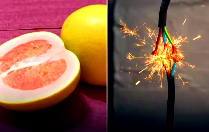 Hô biến vỏ bưởi thành thiết bị phát điện thần kỳ 