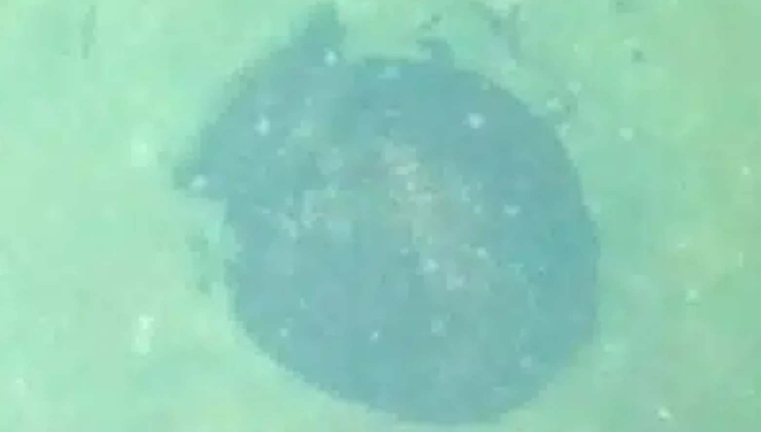 Hơn 10.000 năm chìm dưới đáy hồ, bình gốm vẫn nguyên vẹn khó tin