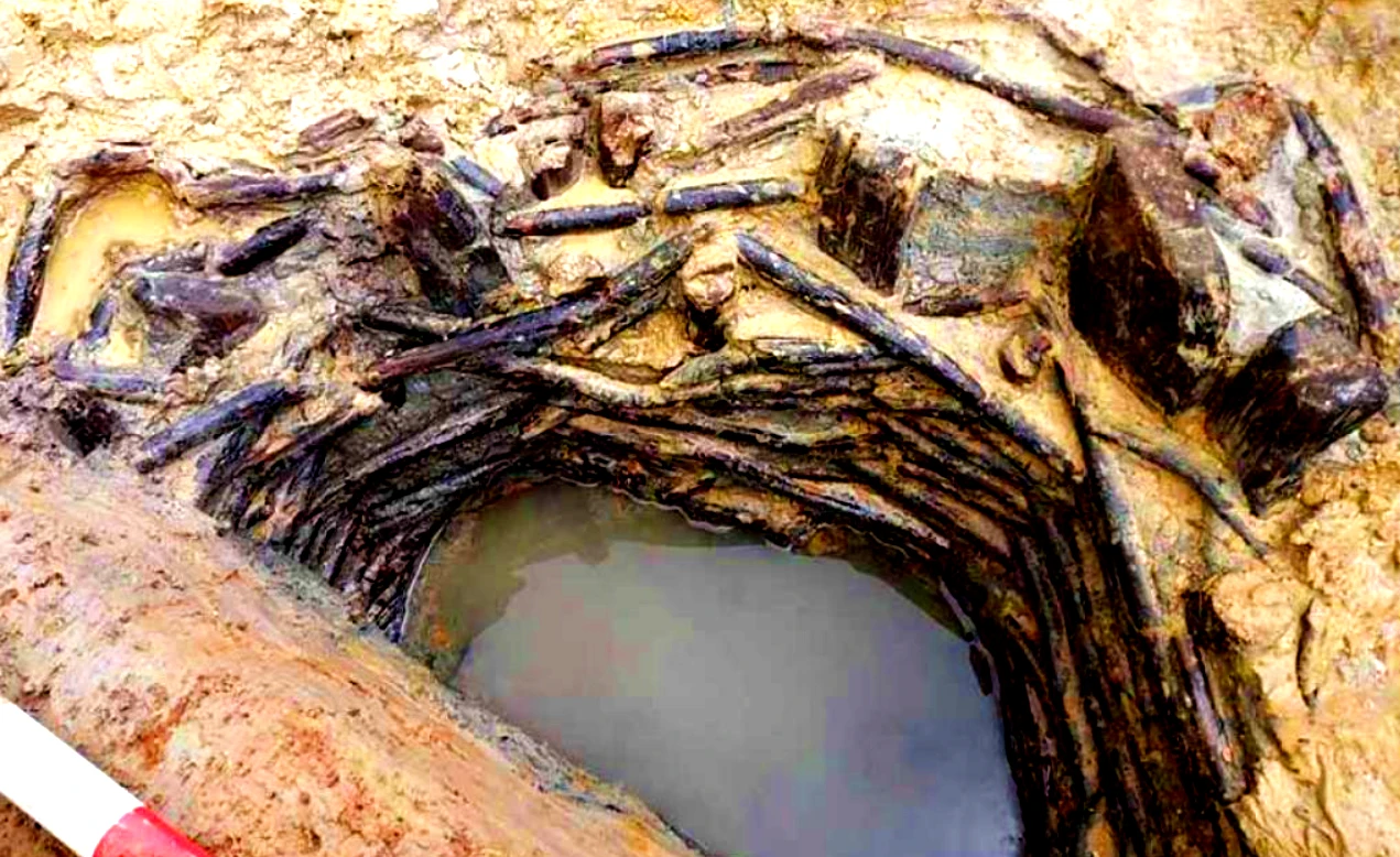 Giếng gỗ thời đồ đồng lộ diện, chuyên gia sửng sốt vì...