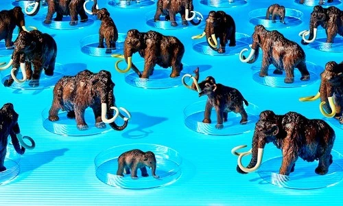 Có nên hồi sinh các loài động vật đã tuyệt chủng?