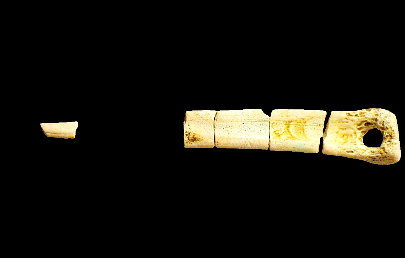 Trâm cài xương đại bàng vàng lộ diện, sững sờ lai lịch thật