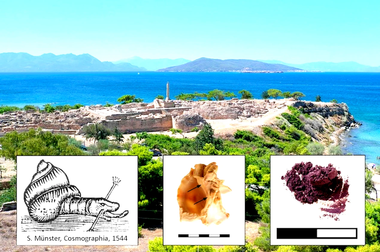 Trong xưởng nhuộm màu tím 3.600 năm, chuyên gia tìm thấy thứ lạ lùng