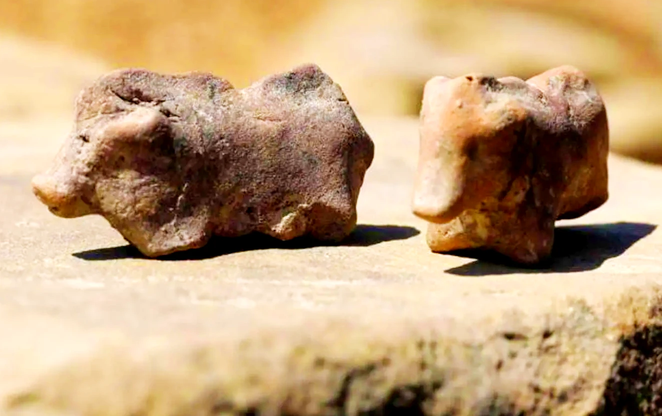 Tượng lợn đất sét cổ đại hé lộ bí ẩn thời đồ đồng