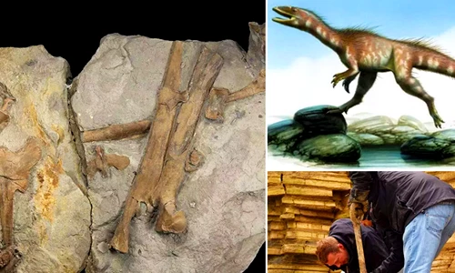 Tiết lộ điều chưa từng biết về “khủng long xứ Wales'