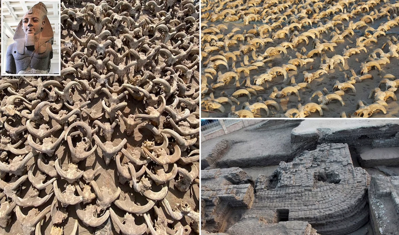 2.000 đầu cừu cổ đại được khai quật tại đền thờ Ramses II