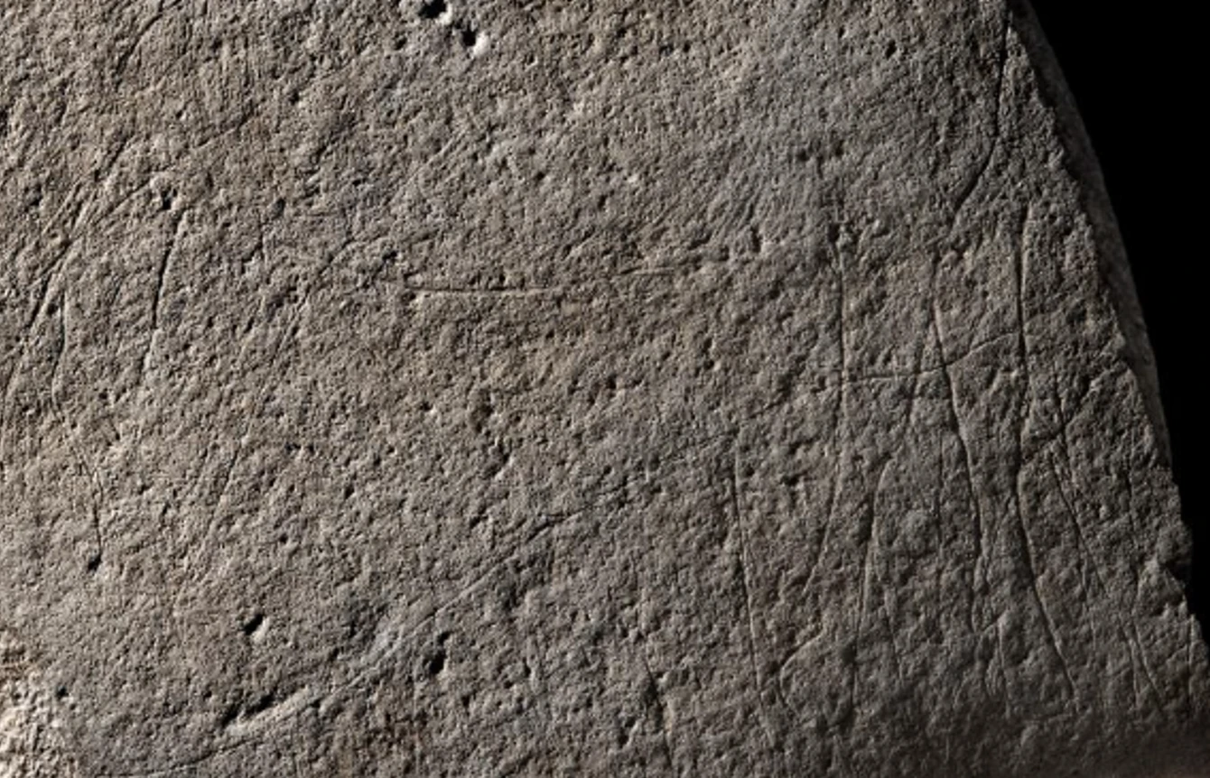 Bức khắc ngựa 12.000 năm tại Pháp hé lộ bí ẩn khảo cổ