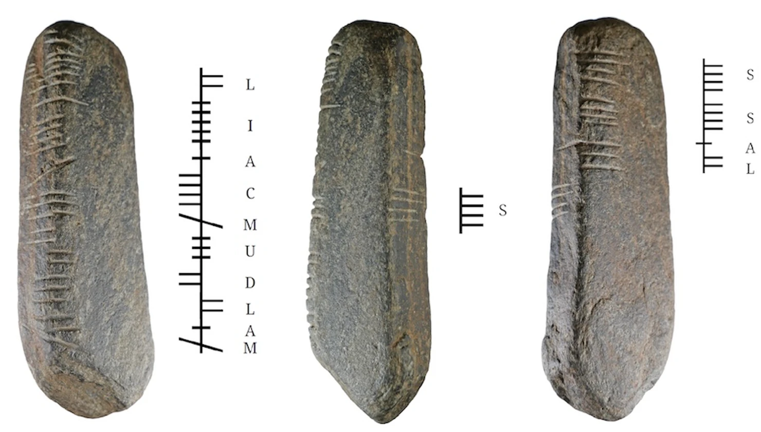 Dọn vườn, phát hiện hòn đá có chữ Ogham kỳ lạ 