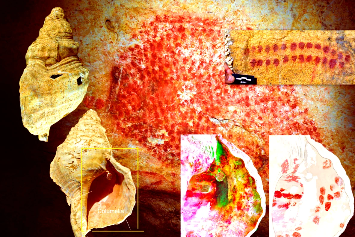 Phát hiện chấn động, tổ tiên dùng vỏ sò làm trang sức cổ xưa