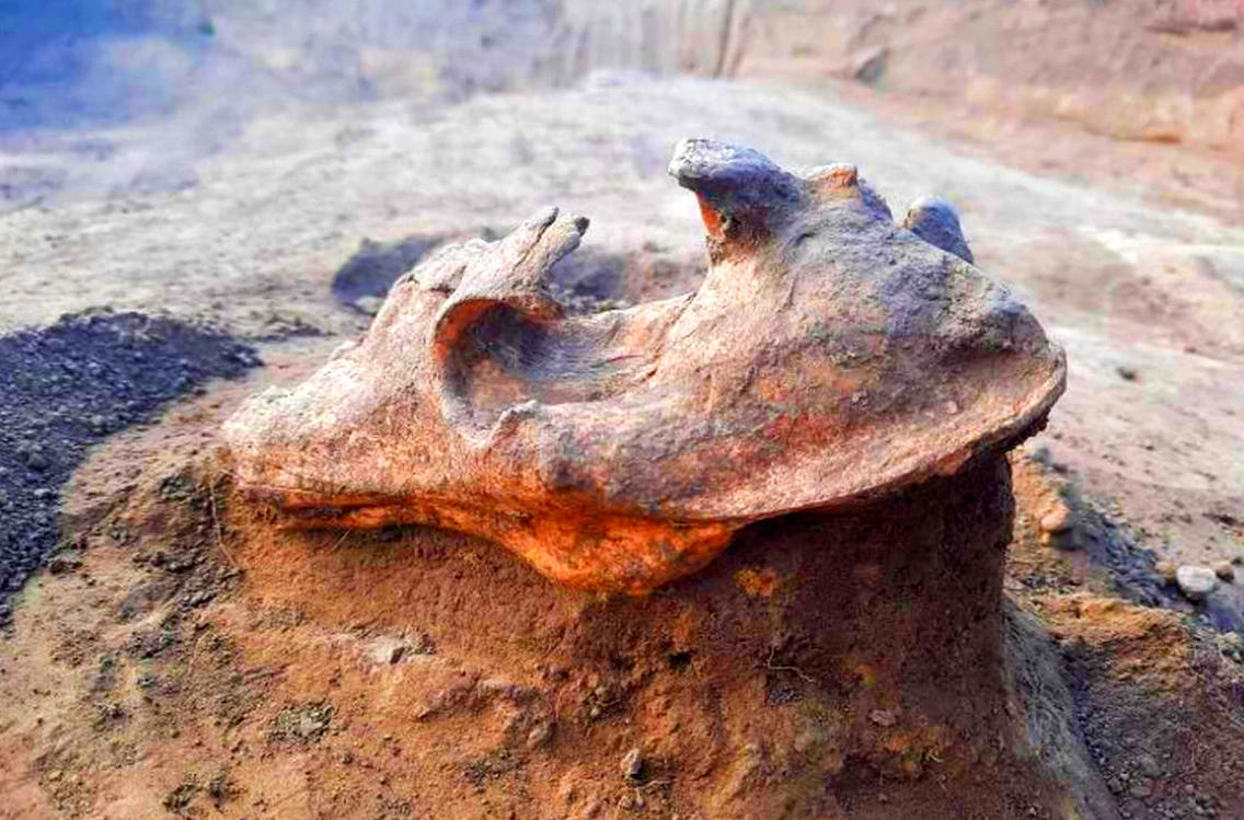 Rùng mình đầu lâu sói trên mộ, trấn yểm linh hồn người chết