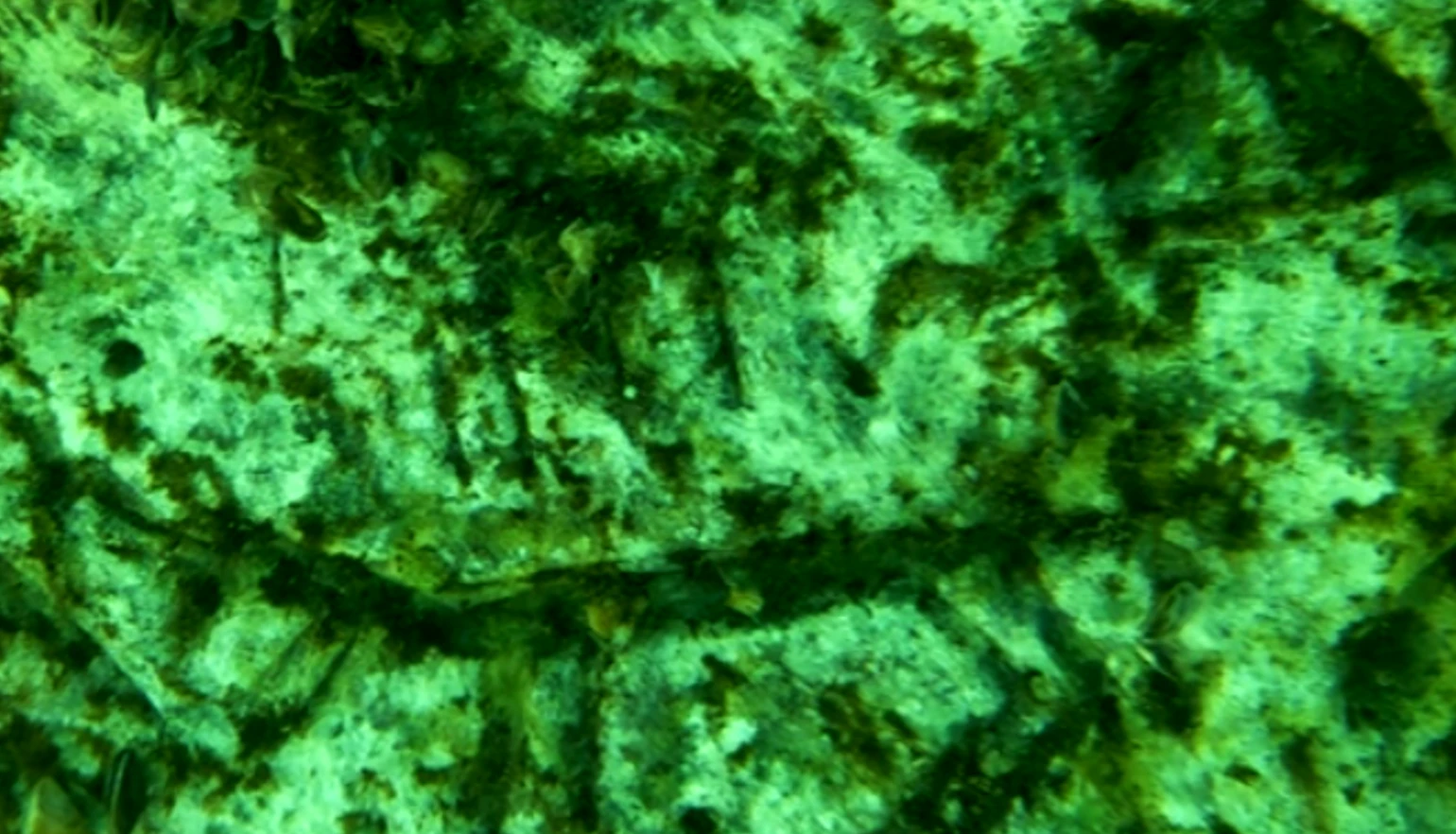 Soi chi tiết tác phẩm chạm khắc trên đá 12.000 năm dưới đập nước