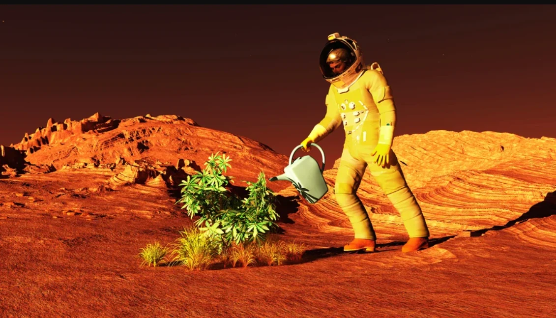 Nếu trồng cây trên sao Hỏa, chuyện lạ lùng gì sẽ xảy ra? 