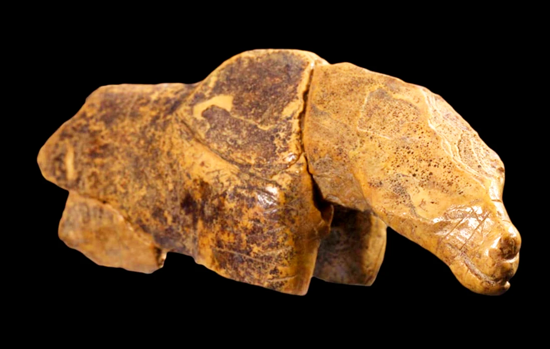 Tìm thấy tượng sinh vật kỳ dị trong hang cổ, chuyên gia đau đầu giải mã