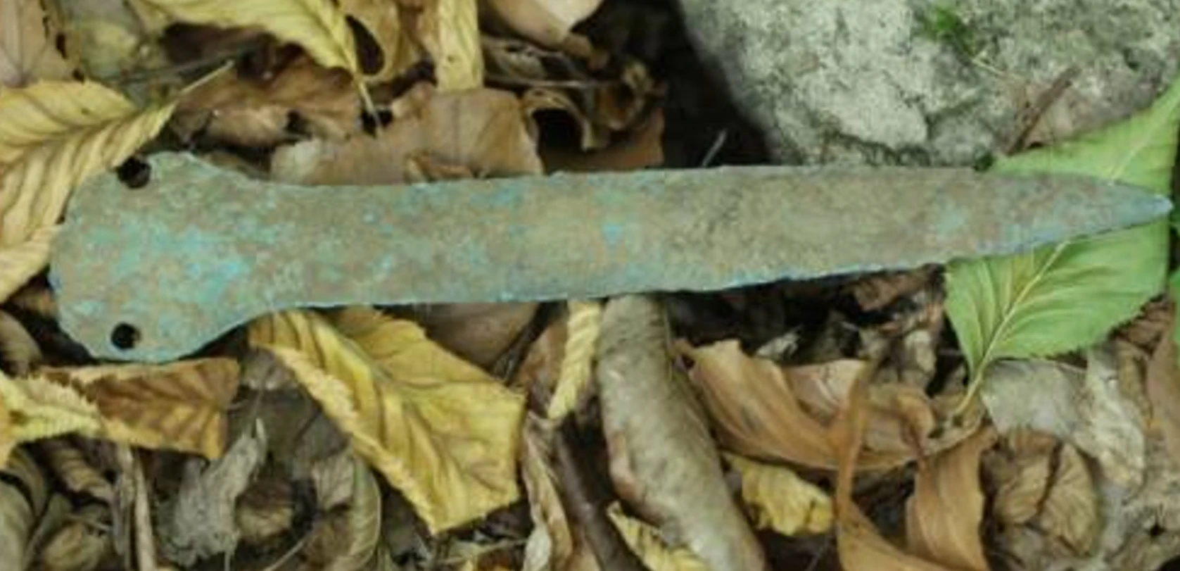 Đi dạo trong rừng, bất ngờ tìm thấy dao găm cổ 3.500 tuổi 