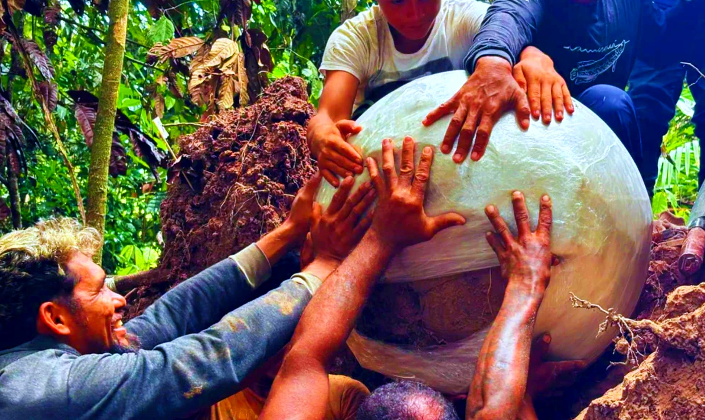 Bí ẩn bình tro cốt người – rùa giữa rừng Amazon cổ đại