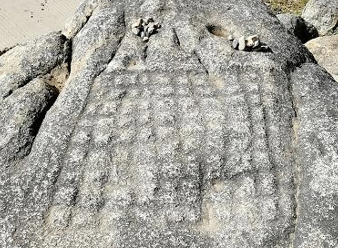 Tận mục bàn cờ vua 1.200 năm tuổi ở Tây Tạng 