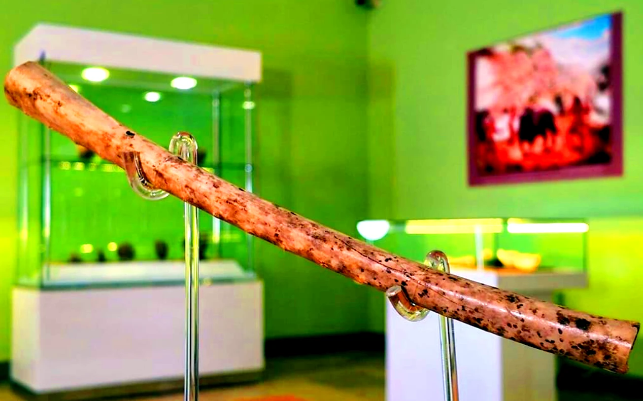 Lộ diện cây sáo bằng xương chim độc lạ khiến giới khảo cổ chấn động