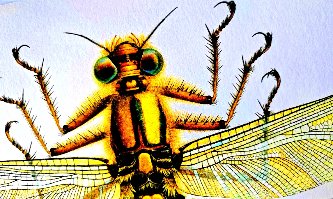 Chuồn chuồn khổng lồ từng bá chủ Trái Đất, cao thủ săn mồi