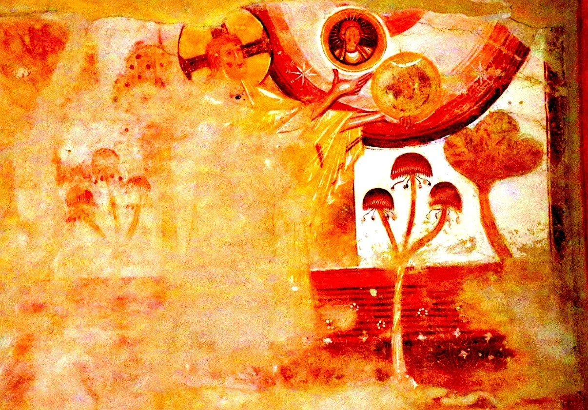 Bí ẩn nghi lễ cổ dùng cây hướng thần ở Nam Mỹ