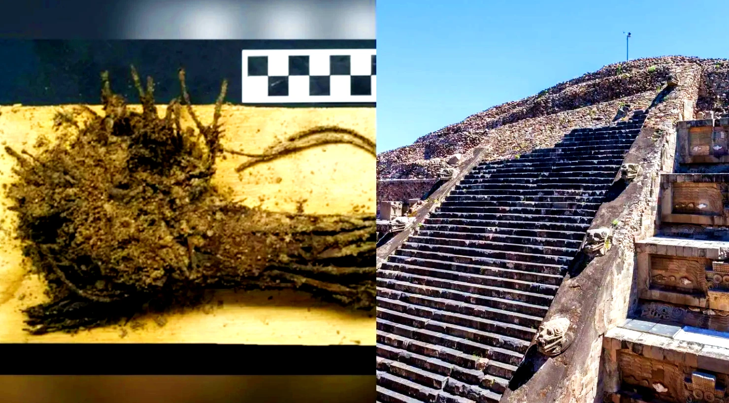 4 bó hoa 2.000 tuổi còn nguyên vẹn, hé lộ thông tin sốc