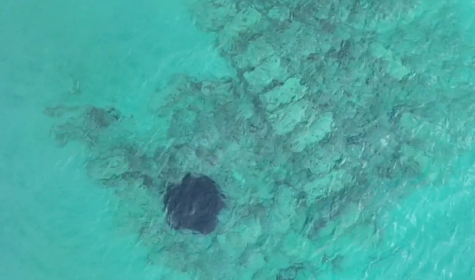 Phát hiện bức tường đá chìm bao quanh thành phố cổ 