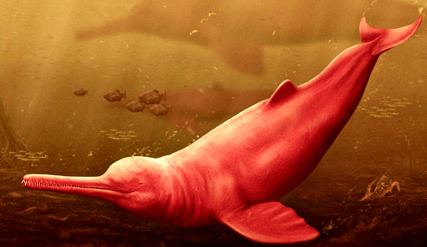 Phát hiện hộp sọ 16 triệu năm, quái vật sông Amazon lộ diện