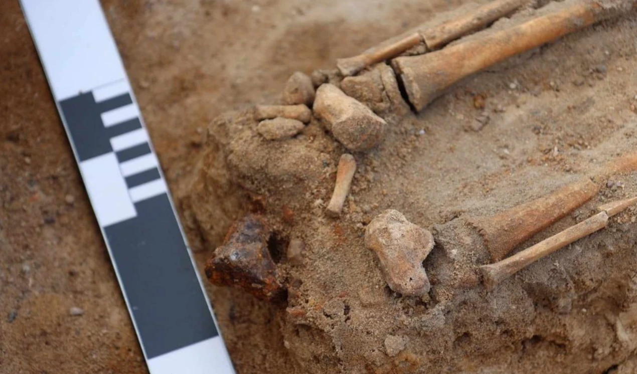 Chuyên gia hốt hoảng thấy thứ kỳ dị trong ngôi mộ cha con 5.000 năm 