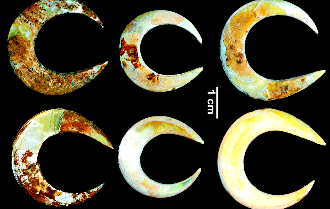 Hé lộ bí ẩn lưỡi câu cá 12.000 năm tuổi trong tang lễ cổ