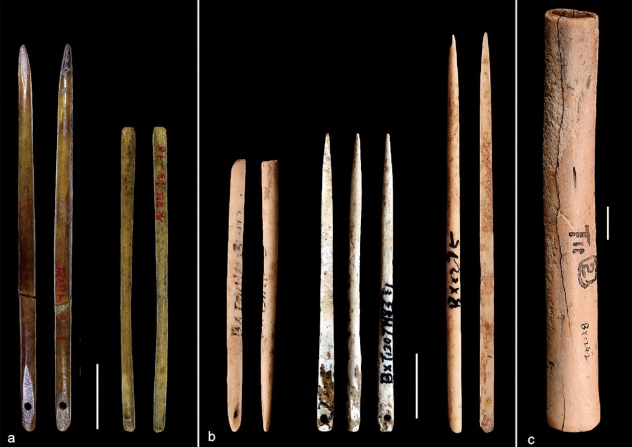 Sự thật về kim may đồ cổ đại 13.000 năm tuổi 