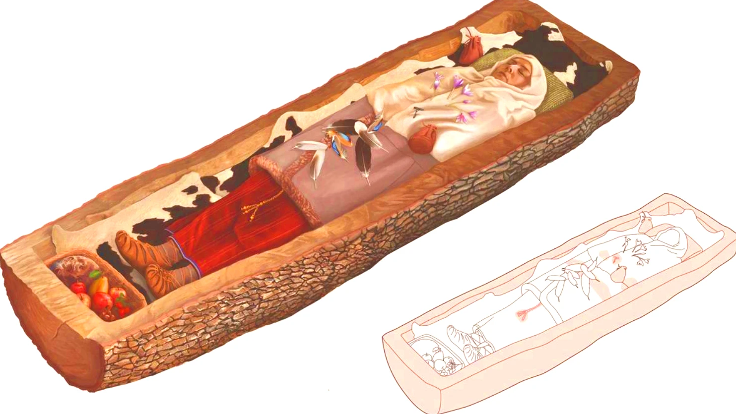 Bí ẩn người phụ nữ thời đồ sắt nằm trong quan tài cây