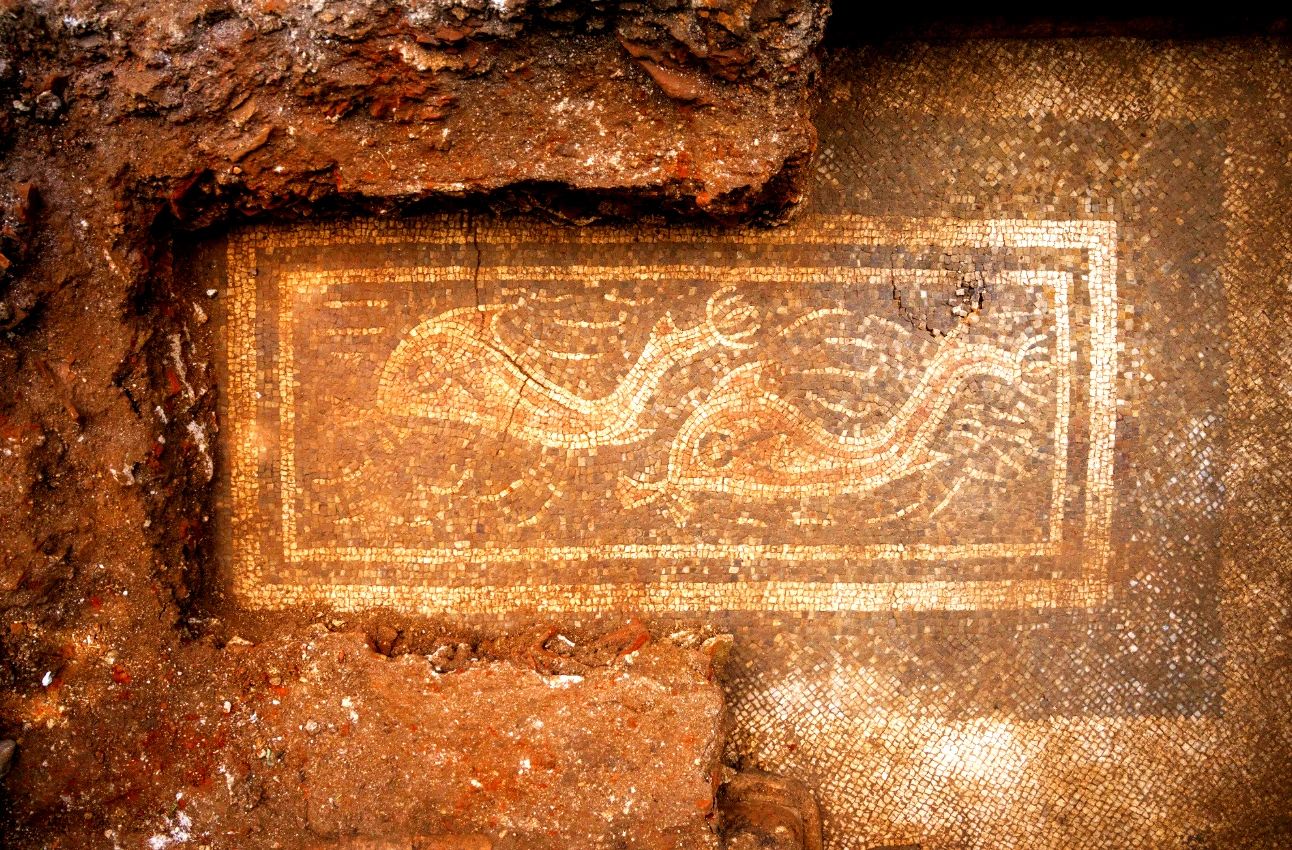 Hé lộ bức tranh khảm cá heo La Mã cổ đại nguyên vẹn hiếm có