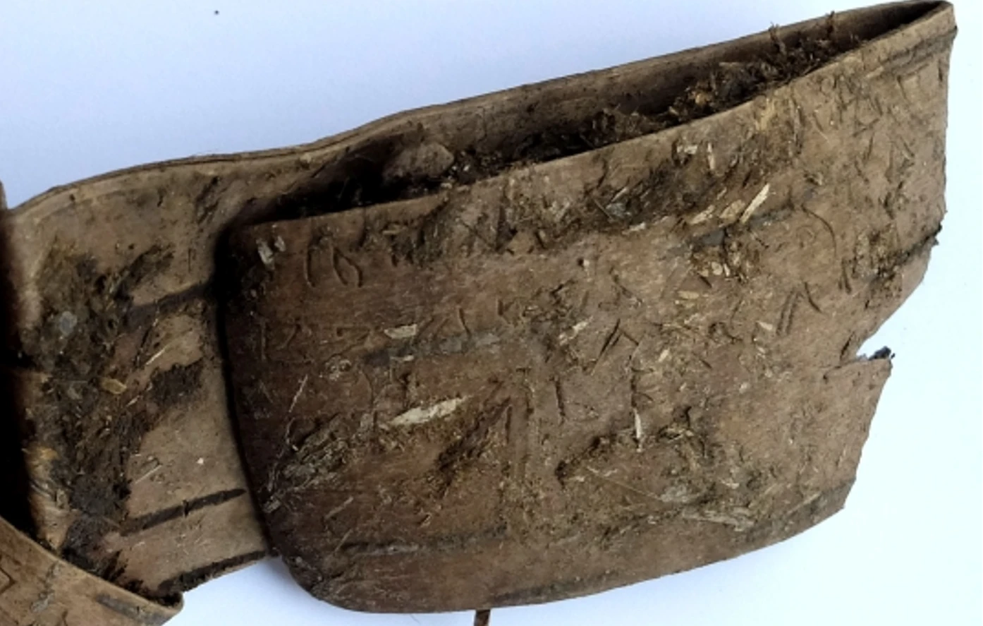 Giải mã lá thư kỳ lạ từ vỏ cây bạch dương cổ đại Nga