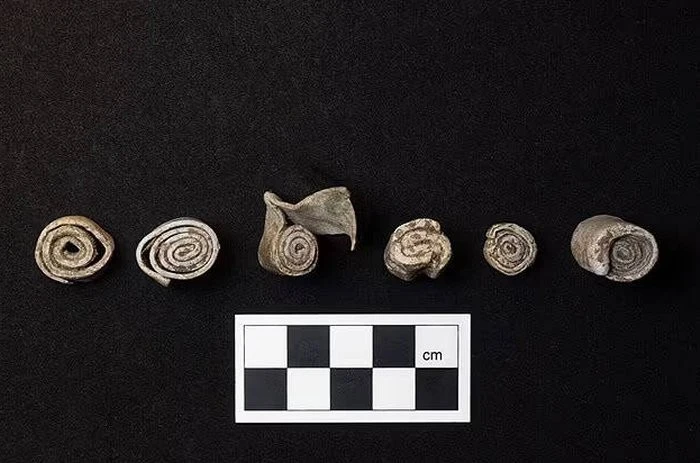 Biệt thự La Mã cổ chứa cuộn chì nguyền rủa rợn tóc gáy