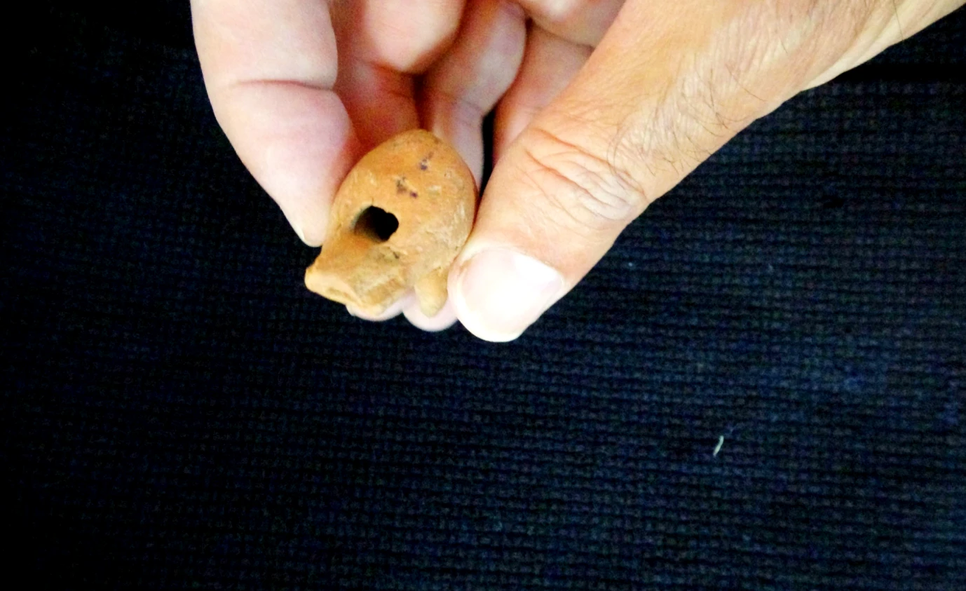 Còi 2.000 năm tuổi tìm thấy trong mộ cổ khiến thế giới sửng sốt