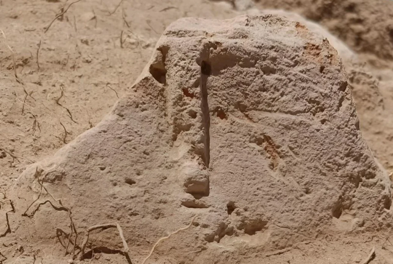 Kinh ngạc 'khuôn mặt người' bí ẩn trên sườn Đồi Saint David 