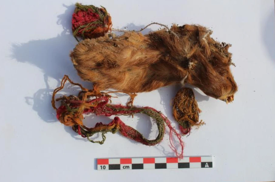 Sự thật rùng mình về nghi lễ Inca cổ xưa 