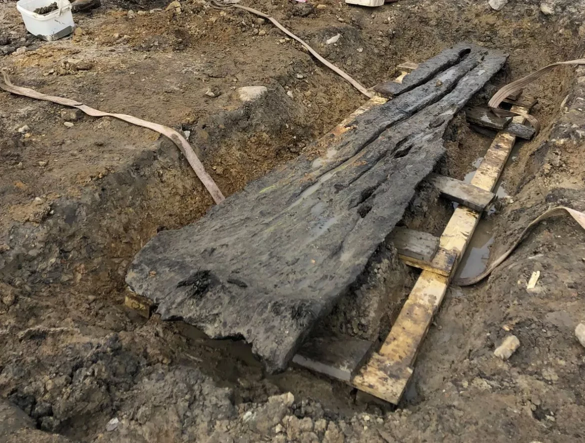 Sự thật 'động trời' đằng sau khúc gỗ 3.500 năm tuổi