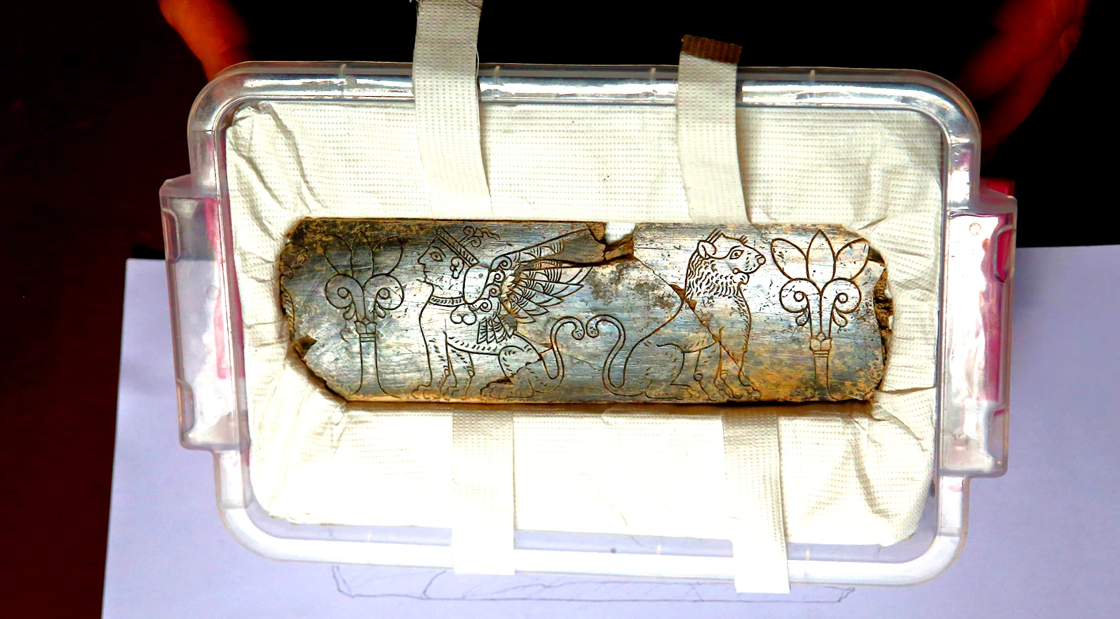 Soi vật thể ngà voi độc đáo 2.800 năm tuổi 