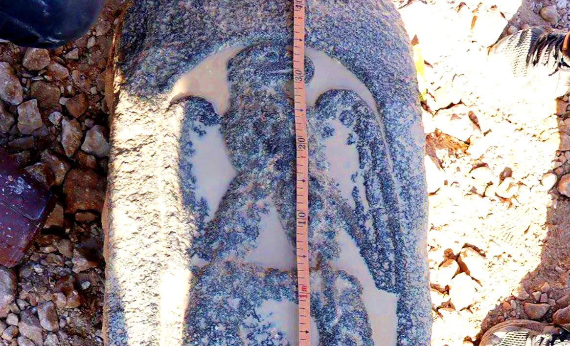 Hình đại bàng lạ lùng trên tấm bia đá La Mã 2.000 năm tuổi