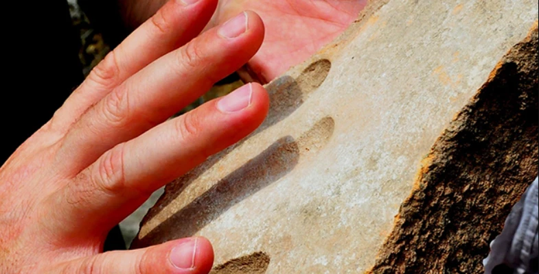 Dấu tay 1.800 năm tuổi hé lộ bí mật nghề gạch cổ