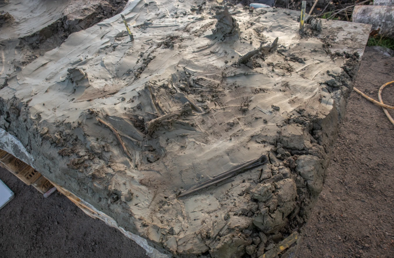 Sốc nặng phát hiện hài cốt chó cùng dao găm bằng xương thời Đồ Đá 