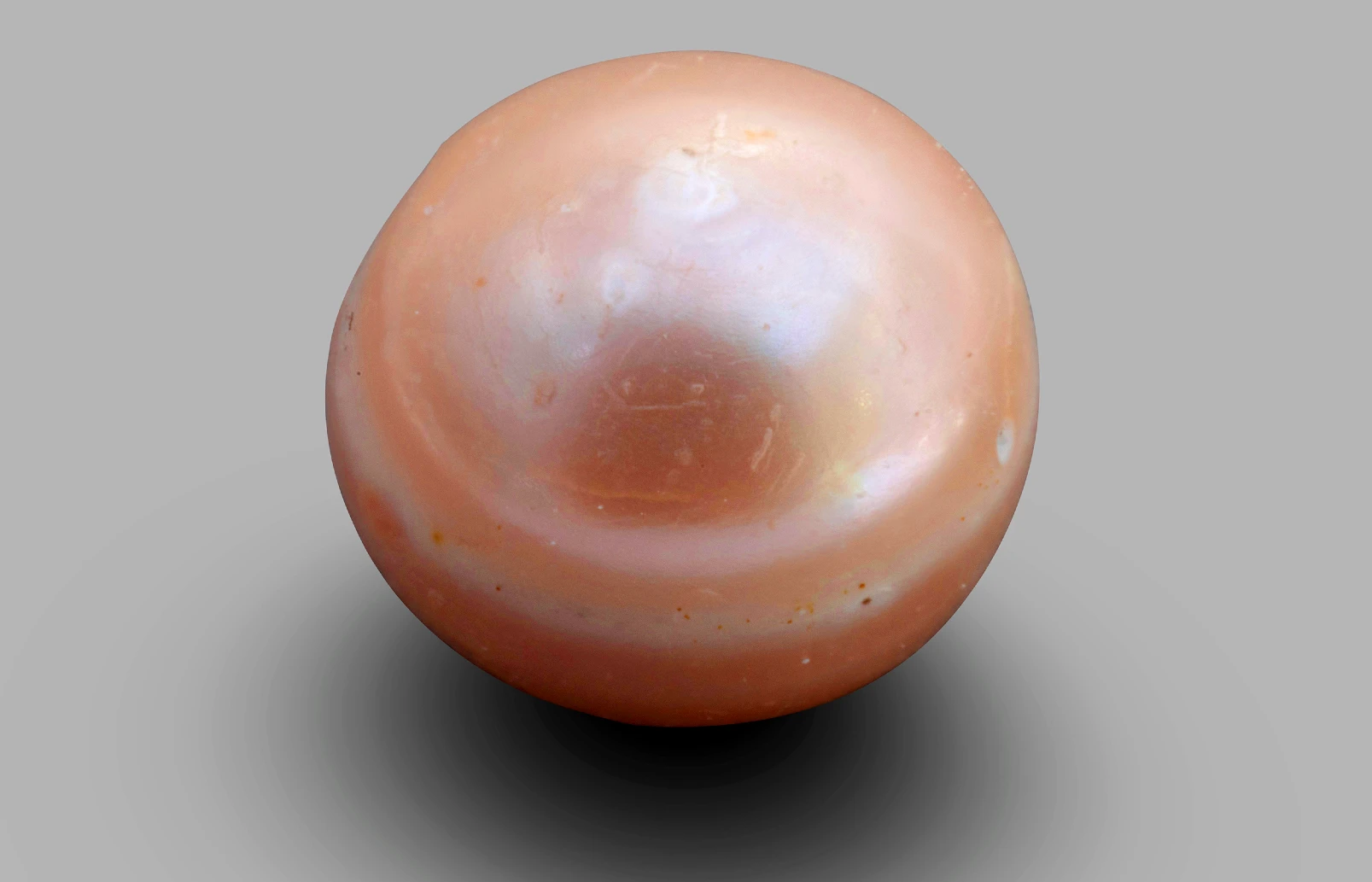 Viên ngọc trai lâu đời nhất thế giới, lai lịch thật gây sốc