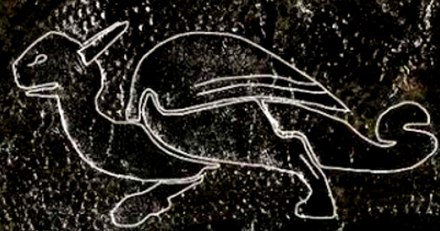 Soi mảnh da cổ, giật mình thấy hình rồng thời Trung Cổ 