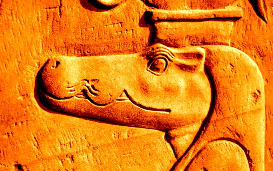 Rùng mình phát hiện 9 đầu cá sấu trong mộ cổ Ai Cập