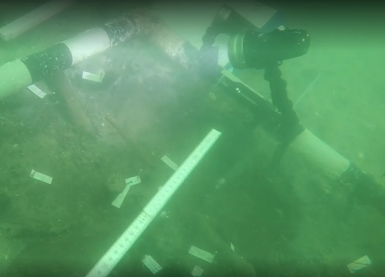 Nghĩa trang 7.000 năm được phát hiện dưới đáy Florida