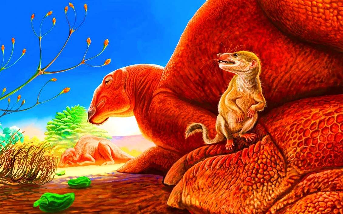 Hóa thạch động vật có vú 90 triệu năm tuổi gây sửng sốt